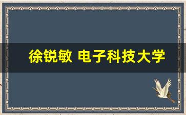 徐锐敏 电子科技大学_张勇的获奖记录